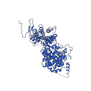 0231_6hix_BA_v1-1
Cryo-EM structure of the Trypanosoma brucei mitochondrial ribosome - This entry contains the large mitoribosomal subunit