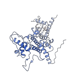 0231_6hix_BB_v1-1
Cryo-EM structure of the Trypanosoma brucei mitochondrial ribosome - This entry contains the large mitoribosomal subunit