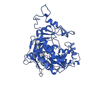 0231_6hix_BC_v1-1
Cryo-EM structure of the Trypanosoma brucei mitochondrial ribosome - This entry contains the large mitoribosomal subunit