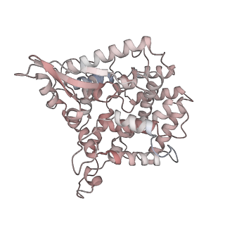 0231_6hix_BD_v1-1
Cryo-EM structure of the Trypanosoma brucei mitochondrial ribosome - This entry contains the large mitoribosomal subunit