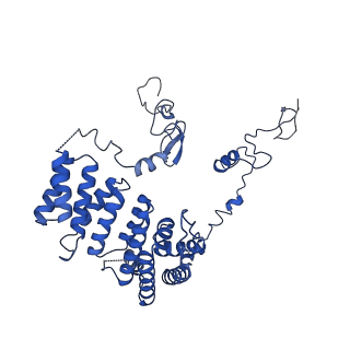 0231_6hix_BE_v1-1
Cryo-EM structure of the Trypanosoma brucei mitochondrial ribosome - This entry contains the large mitoribosomal subunit