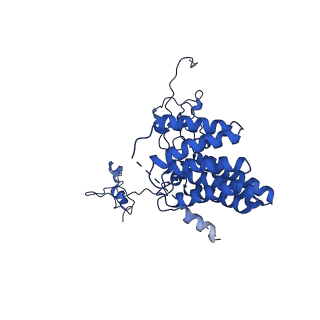 0231_6hix_BF_v1-1
Cryo-EM structure of the Trypanosoma brucei mitochondrial ribosome - This entry contains the large mitoribosomal subunit
