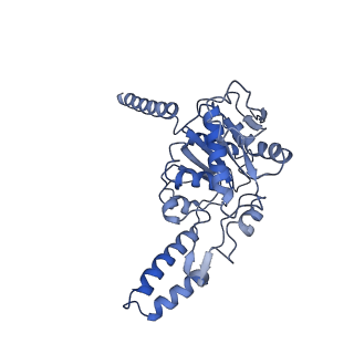 0231_6hix_BG_v2-0
Cryo-EM structure of the Trypanosoma brucei mitochondrial ribosome - This entry contains the large mitoribosomal subunit