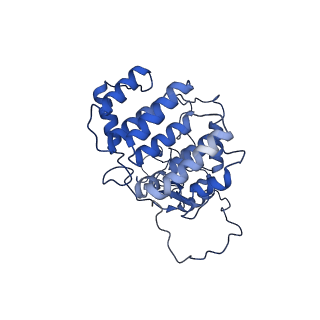 0231_6hix_BI_v1-1
Cryo-EM structure of the Trypanosoma brucei mitochondrial ribosome - This entry contains the large mitoribosomal subunit