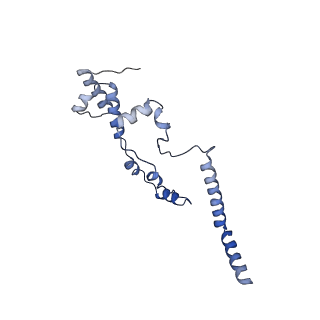 0231_6hix_BJ_v1-1
Cryo-EM structure of the Trypanosoma brucei mitochondrial ribosome - This entry contains the large mitoribosomal subunit