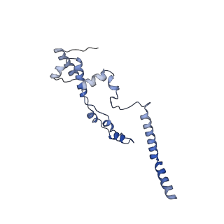 0231_6hix_BJ_v2-0
Cryo-EM structure of the Trypanosoma brucei mitochondrial ribosome - This entry contains the large mitoribosomal subunit
