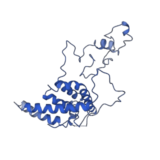 0231_6hix_BL_v1-1
Cryo-EM structure of the Trypanosoma brucei mitochondrial ribosome - This entry contains the large mitoribosomal subunit