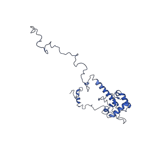 0231_6hix_BM_v1-1
Cryo-EM structure of the Trypanosoma brucei mitochondrial ribosome - This entry contains the large mitoribosomal subunit