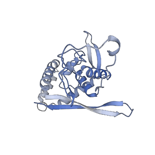 0231_6hix_BN_v1-1
Cryo-EM structure of the Trypanosoma brucei mitochondrial ribosome - This entry contains the large mitoribosomal subunit