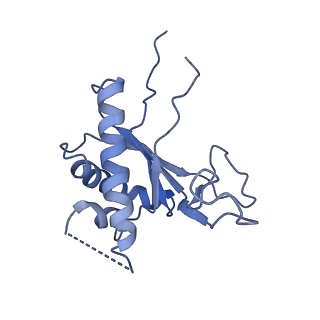 0231_6hix_BO_v1-1
Cryo-EM structure of the Trypanosoma brucei mitochondrial ribosome - This entry contains the large mitoribosomal subunit