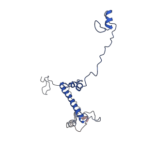 0231_6hix_BP_v1-1
Cryo-EM structure of the Trypanosoma brucei mitochondrial ribosome - This entry contains the large mitoribosomal subunit