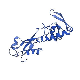 0231_6hix_BR_v1-1
Cryo-EM structure of the Trypanosoma brucei mitochondrial ribosome - This entry contains the large mitoribosomal subunit