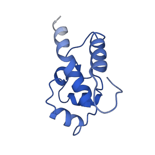0231_6hix_BS_v1-1
Cryo-EM structure of the Trypanosoma brucei mitochondrial ribosome - This entry contains the large mitoribosomal subunit