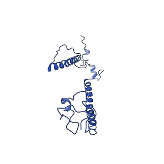 0231_6hix_BT_v1-1
Cryo-EM structure of the Trypanosoma brucei mitochondrial ribosome - This entry contains the large mitoribosomal subunit