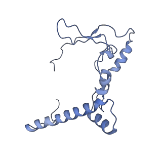 0231_6hix_BV_v1-1
Cryo-EM structure of the Trypanosoma brucei mitochondrial ribosome - This entry contains the large mitoribosomal subunit