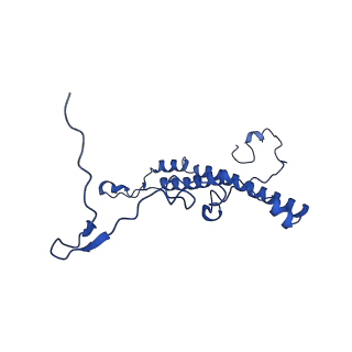 0231_6hix_BW_v1-1
Cryo-EM structure of the Trypanosoma brucei mitochondrial ribosome - This entry contains the large mitoribosomal subunit