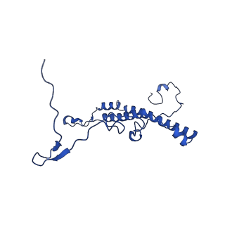 0231_6hix_BW_v2-0
Cryo-EM structure of the Trypanosoma brucei mitochondrial ribosome - This entry contains the large mitoribosomal subunit
