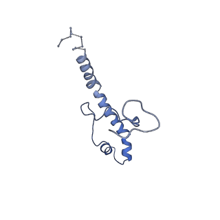 0231_6hix_BY_v1-1
Cryo-EM structure of the Trypanosoma brucei mitochondrial ribosome - This entry contains the large mitoribosomal subunit