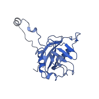0231_6hix_BZ_v1-1
Cryo-EM structure of the Trypanosoma brucei mitochondrial ribosome - This entry contains the large mitoribosomal subunit