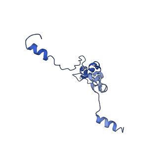 0231_6hix_Ba_v1-1
Cryo-EM structure of the Trypanosoma brucei mitochondrial ribosome - This entry contains the large mitoribosomal subunit