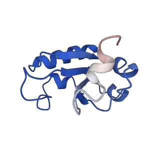 0231_6hix_Bb_v1-1
Cryo-EM structure of the Trypanosoma brucei mitochondrial ribosome - This entry contains the large mitoribosomal subunit