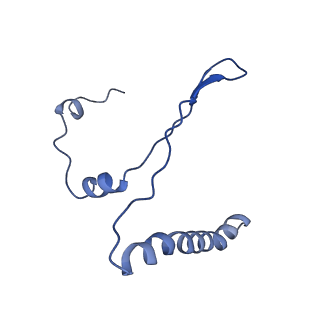 0231_6hix_Bc_v1-1
Cryo-EM structure of the Trypanosoma brucei mitochondrial ribosome - This entry contains the large mitoribosomal subunit