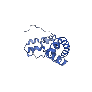 0231_6hix_Bd_v1-1
Cryo-EM structure of the Trypanosoma brucei mitochondrial ribosome - This entry contains the large mitoribosomal subunit