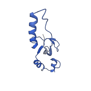 0231_6hix_Be_v1-1
Cryo-EM structure of the Trypanosoma brucei mitochondrial ribosome - This entry contains the large mitoribosomal subunit