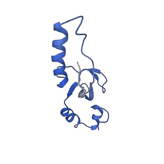 0231_6hix_Be_v2-0
Cryo-EM structure of the Trypanosoma brucei mitochondrial ribosome - This entry contains the large mitoribosomal subunit