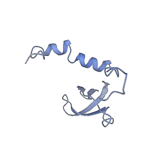 0231_6hix_Bh_v1-1
Cryo-EM structure of the Trypanosoma brucei mitochondrial ribosome - This entry contains the large mitoribosomal subunit