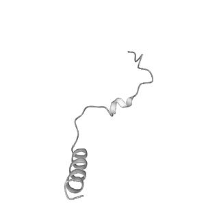 0231_6hix_UB_v1-1
Cryo-EM structure of the Trypanosoma brucei mitochondrial ribosome - This entry contains the large mitoribosomal subunit