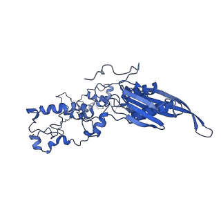 0232_6hiy_CE_v1-2
Cryo-EM structure of the Trypanosoma brucei mitochondrial ribosome - This entry contains the body of the small mitoribosomal subunit in complex with mt-IF-3