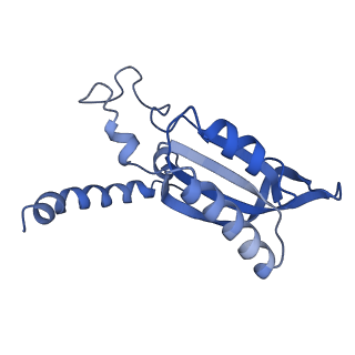 0232_6hiy_CF_v1-2
Cryo-EM structure of the Trypanosoma brucei mitochondrial ribosome - This entry contains the body of the small mitoribosomal subunit in complex with mt-IF-3