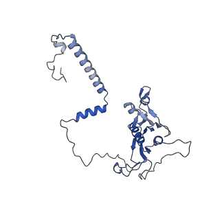 0232_6hiy_CH_v1-2
Cryo-EM structure of the Trypanosoma brucei mitochondrial ribosome - This entry contains the body of the small mitoribosomal subunit in complex with mt-IF-3
