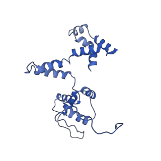 0232_6hiy_CI_v1-2
Cryo-EM structure of the Trypanosoma brucei mitochondrial ribosome - This entry contains the body of the small mitoribosomal subunit in complex with mt-IF-3