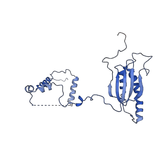 0232_6hiy_CK_v1-2
Cryo-EM structure of the Trypanosoma brucei mitochondrial ribosome - This entry contains the body of the small mitoribosomal subunit in complex with mt-IF-3