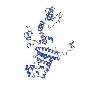 0232_6hiy_CO_v1-2
Cryo-EM structure of the Trypanosoma brucei mitochondrial ribosome - This entry contains the body of the small mitoribosomal subunit in complex with mt-IF-3