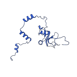 0232_6hiy_CP_v1-2
Cryo-EM structure of the Trypanosoma brucei mitochondrial ribosome - This entry contains the body of the small mitoribosomal subunit in complex with mt-IF-3