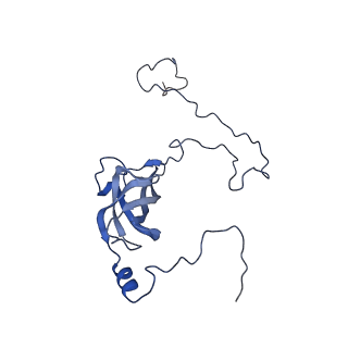 0232_6hiy_CQ_v1-2
Cryo-EM structure of the Trypanosoma brucei mitochondrial ribosome - This entry contains the body of the small mitoribosomal subunit in complex with mt-IF-3