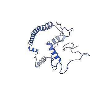 0232_6hiy_CU_v1-2
Cryo-EM structure of the Trypanosoma brucei mitochondrial ribosome - This entry contains the body of the small mitoribosomal subunit in complex with mt-IF-3