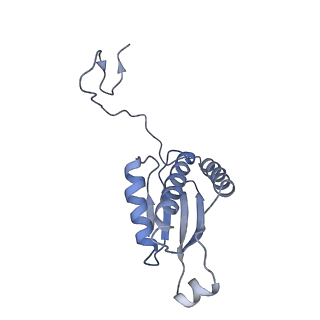 0232_6hiy_CZ_v1-2
Cryo-EM structure of the Trypanosoma brucei mitochondrial ribosome - This entry contains the body of the small mitoribosomal subunit in complex with mt-IF-3