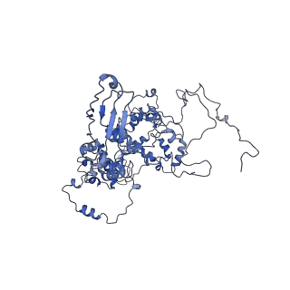 0232_6hiy_Ca_v1-2
Cryo-EM structure of the Trypanosoma brucei mitochondrial ribosome - This entry contains the body of the small mitoribosomal subunit in complex with mt-IF-3