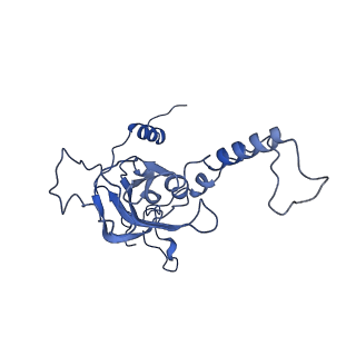 0232_6hiy_Cj_v1-2
Cryo-EM structure of the Trypanosoma brucei mitochondrial ribosome - This entry contains the body of the small mitoribosomal subunit in complex with mt-IF-3