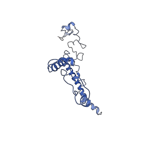 0232_6hiy_Cm_v1-2
Cryo-EM structure of the Trypanosoma brucei mitochondrial ribosome - This entry contains the body of the small mitoribosomal subunit in complex with mt-IF-3