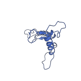 0232_6hiy_Cn_v1-2
Cryo-EM structure of the Trypanosoma brucei mitochondrial ribosome - This entry contains the body of the small mitoribosomal subunit in complex with mt-IF-3