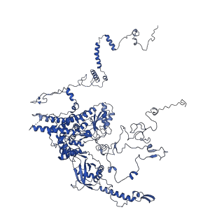 0232_6hiy_Cv_v1-2
Cryo-EM structure of the Trypanosoma brucei mitochondrial ribosome - This entry contains the body of the small mitoribosomal subunit in complex with mt-IF-3