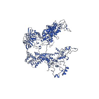 0232_6hiy_DA_v1-2
Cryo-EM structure of the Trypanosoma brucei mitochondrial ribosome - This entry contains the body of the small mitoribosomal subunit in complex with mt-IF-3