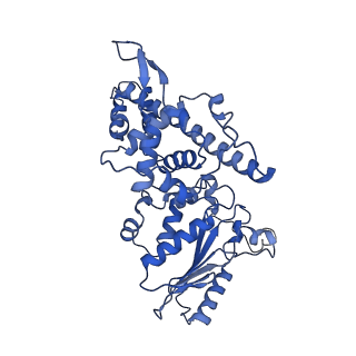 0232_6hiy_DI_v1-2
Cryo-EM structure of the Trypanosoma brucei mitochondrial ribosome - This entry contains the body of the small mitoribosomal subunit in complex with mt-IF-3