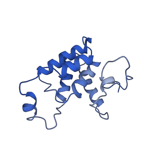 0232_6hiy_DL_v1-2
Cryo-EM structure of the Trypanosoma brucei mitochondrial ribosome - This entry contains the body of the small mitoribosomal subunit in complex with mt-IF-3