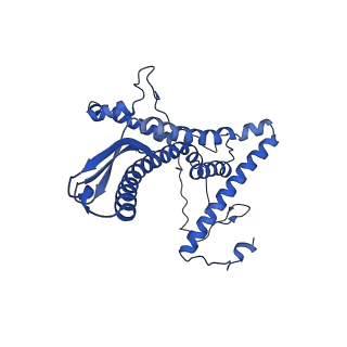 0232_6hiy_DM_v1-2
Cryo-EM structure of the Trypanosoma brucei mitochondrial ribosome - This entry contains the body of the small mitoribosomal subunit in complex with mt-IF-3